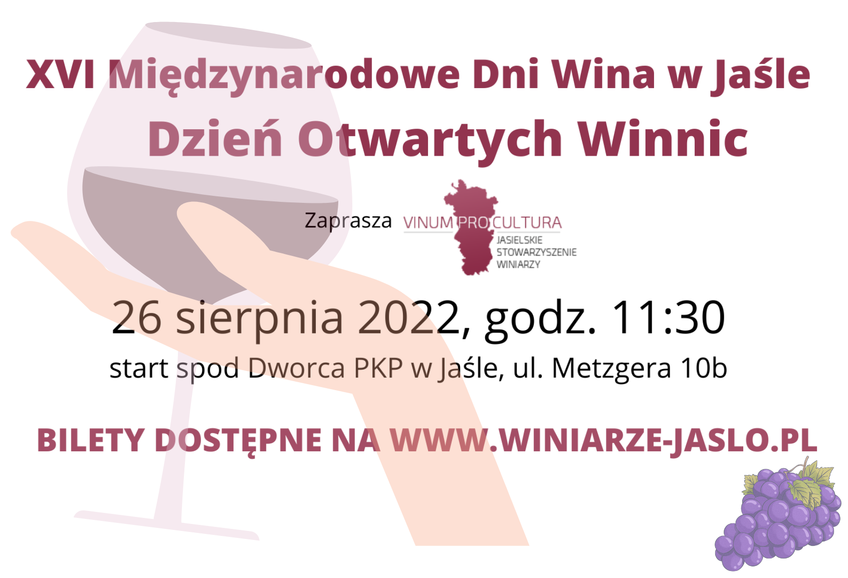 Open Vineyards Day at the 16th International Wine Days in Jasło – main image
