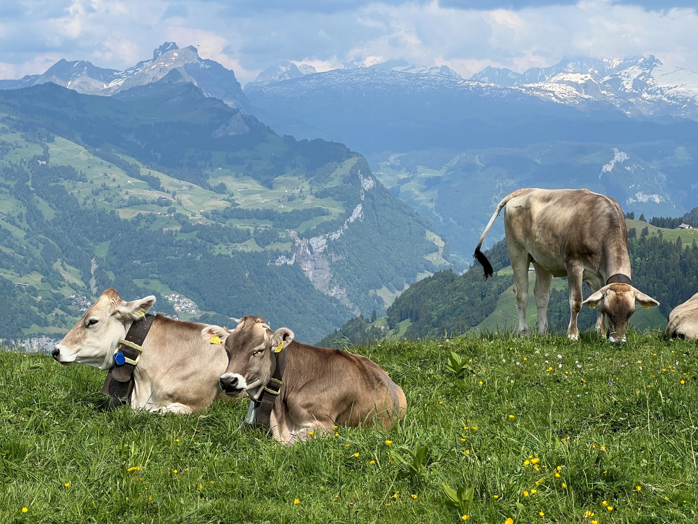 Kamperem po Szwajcarii – gotowa trasa wybranymi odcinkami Grand Tour of Switzerland – zdjęcie 21
