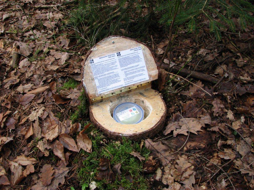 How to diversify your travels? Geocaching is definitely worth paying attention to – main image