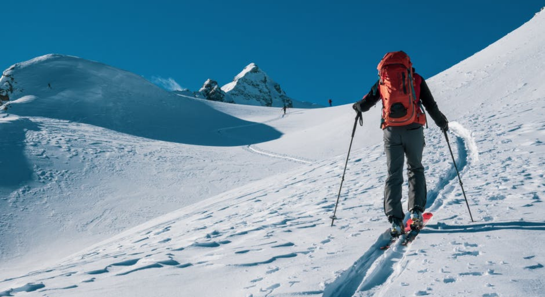 Narty skiturowe na zbliżającą się zimę - najlepsze modele cenionych producentów – główne zdjęcie