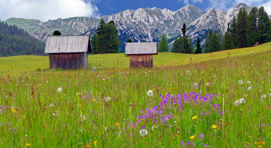 Camping Toblachersee – urlop w Dolomitach – główne zdjęcie