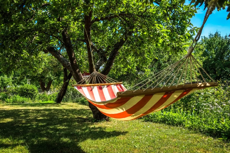 Relaxing at the campsite - we choose a hammock – main image