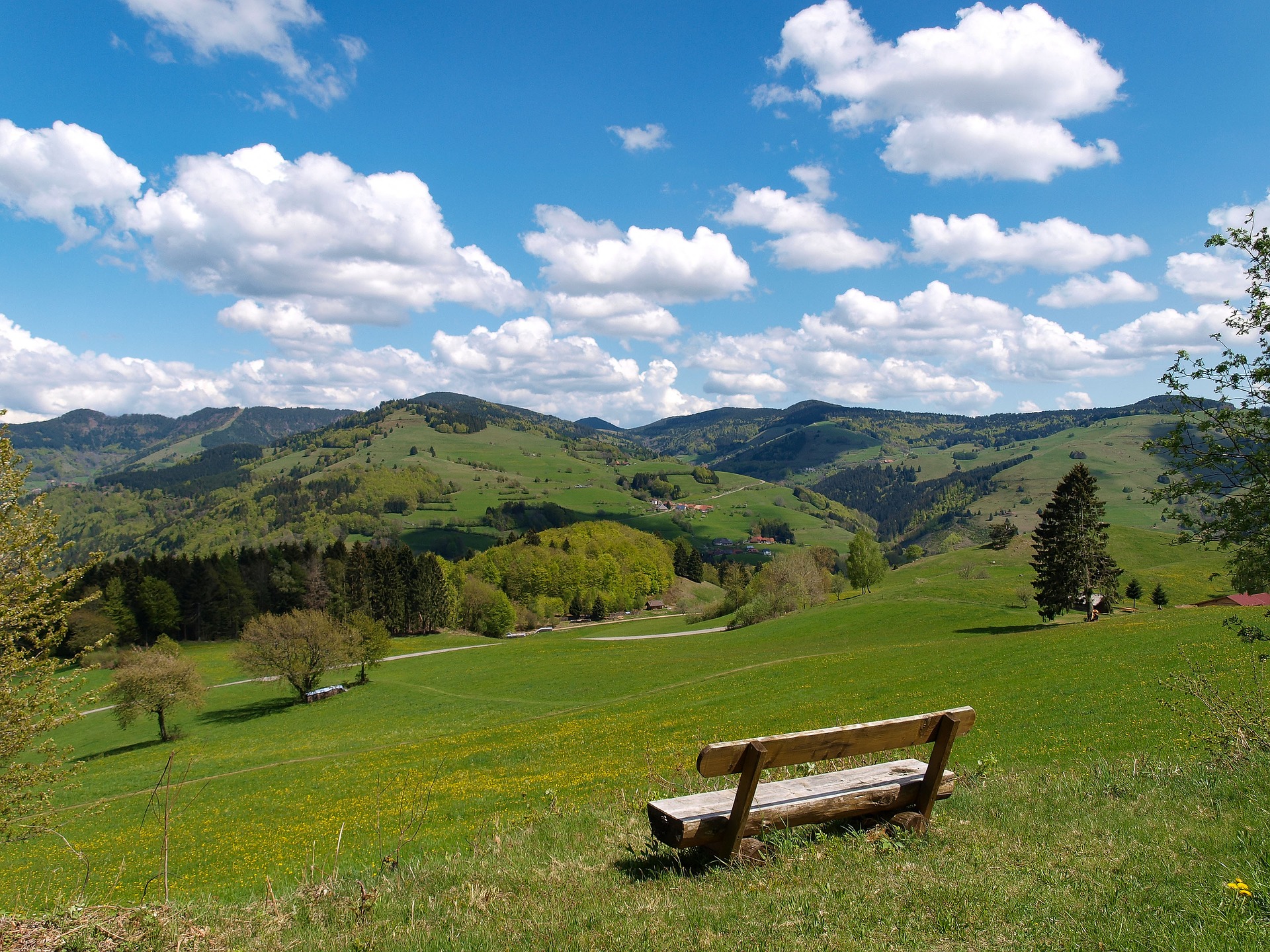 The charms of the Black Forest – main image