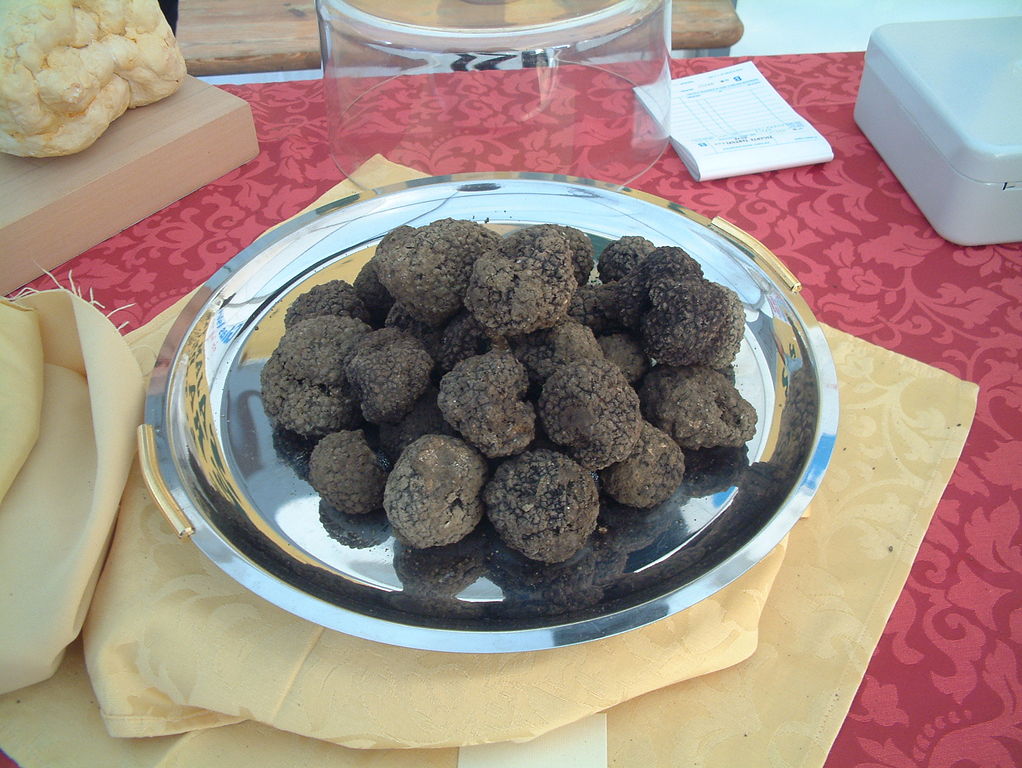 The truffle flavor of Istria – main image