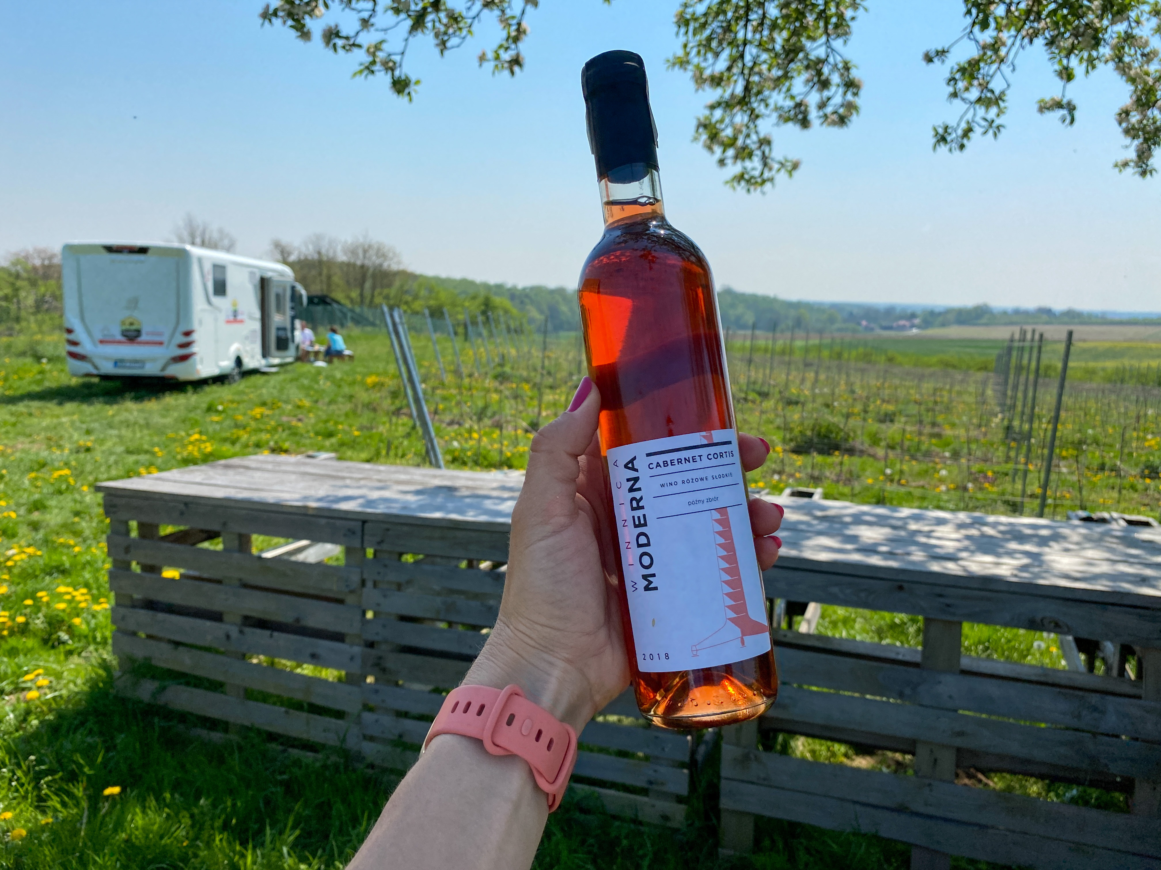 7 vineyards of Lower Silesia that we visited in a motorhome – main image