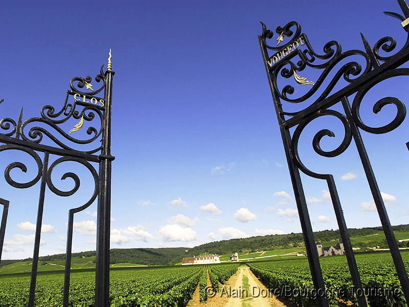 The red wine route - the heart of Burgundy – main image