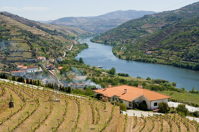 Winnice w dolinie rzeki Douro – główne zdjęcie