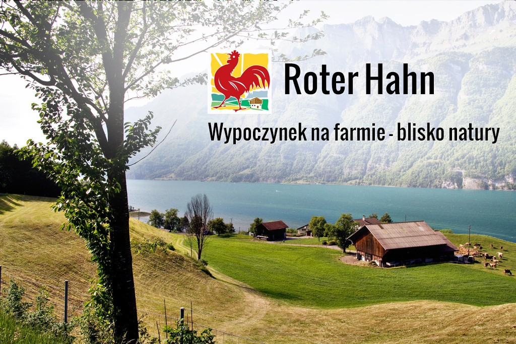 Wypoczynek na farmie w Tyrolu - oferta Roter Hahn – główne zdjęcie
