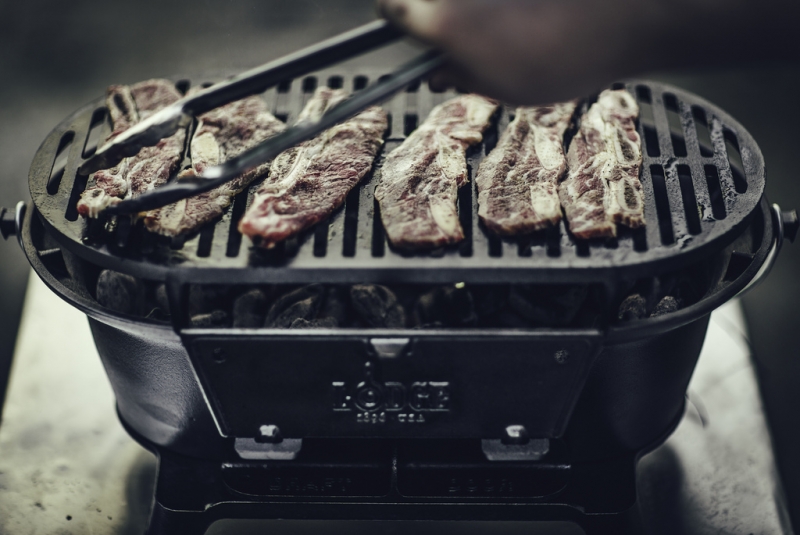 Gas or coal grill - which one to choose? – main image