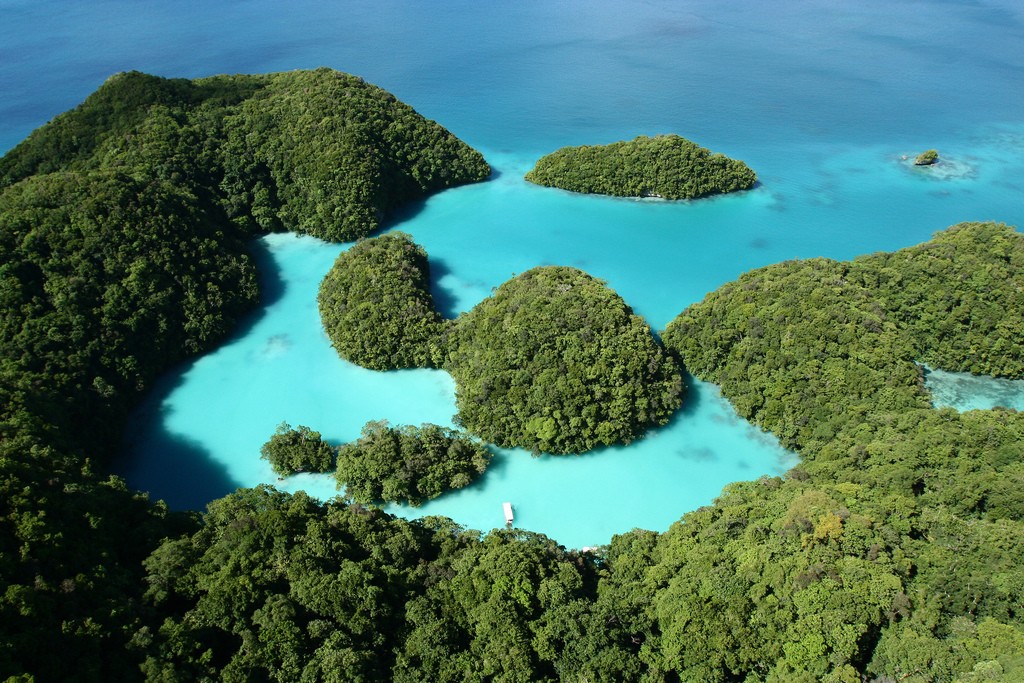 Diving in Palau – main image