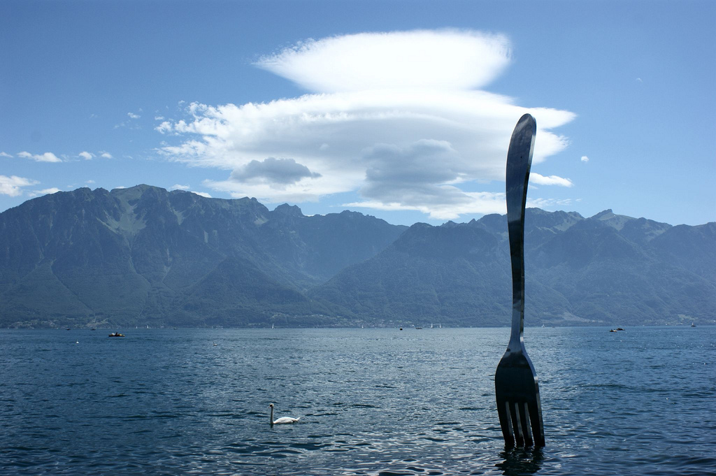 Fork in the water - Vevey – main image