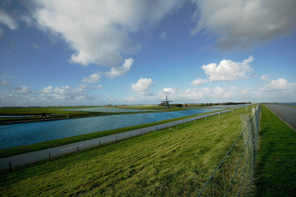 Texel - wyspa królików – główne zdjęcie