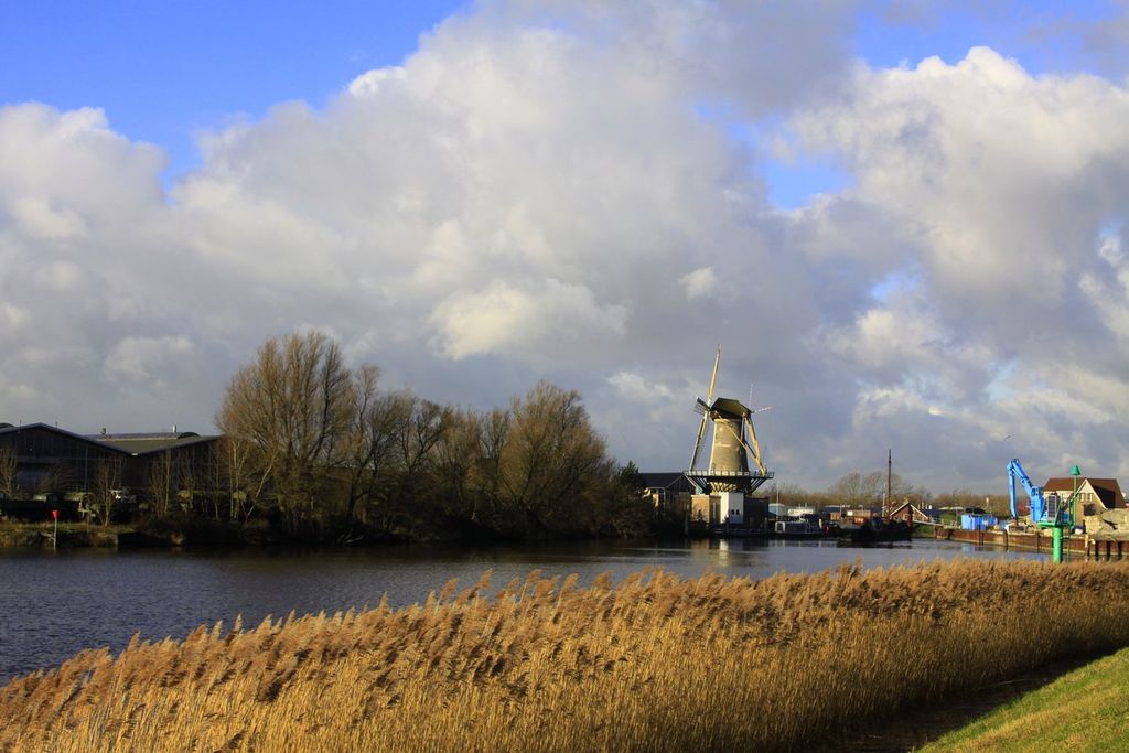 Złapać doła w Holandii – główne zdjęcie