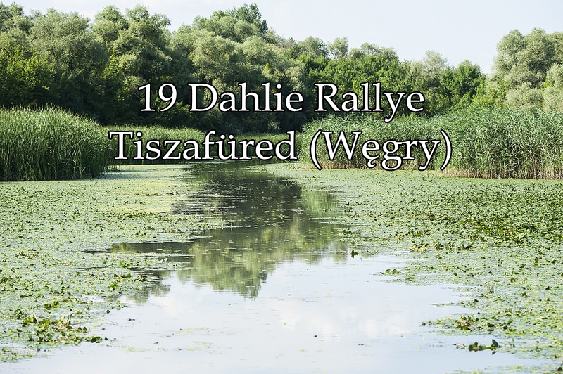 19 Dahlie Rallye - Tiszafüred (Węgry) – główne zdjęcie