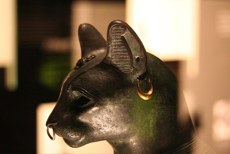 Dom Bastet, czyli kolebka kultu kota – główne zdjęcie