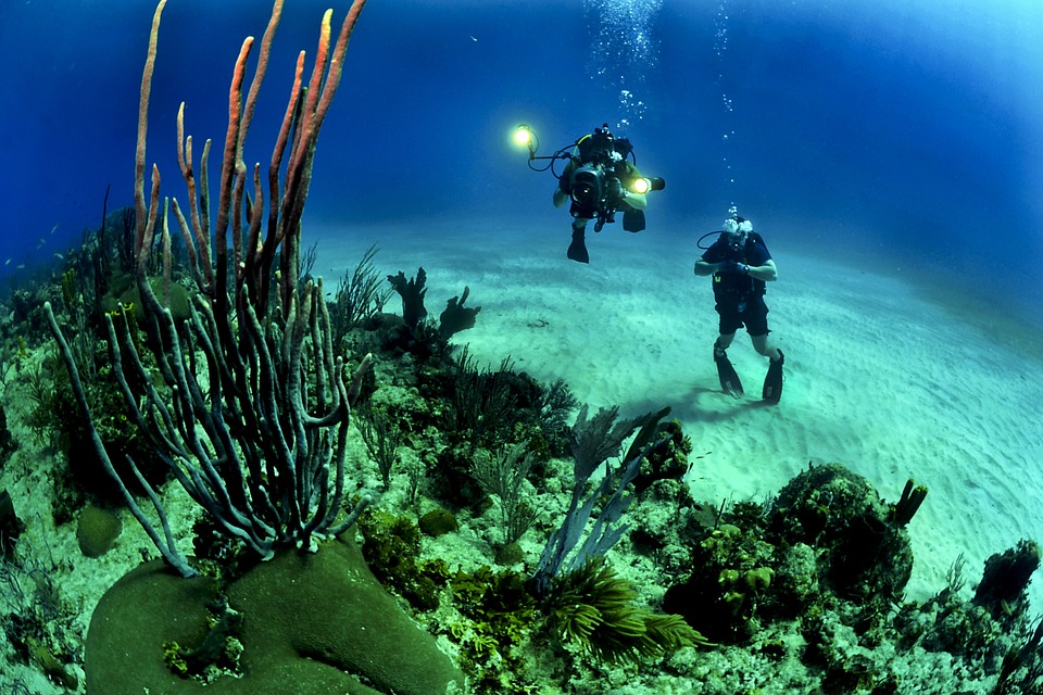 Podwodna Istria – główne zdjęcie