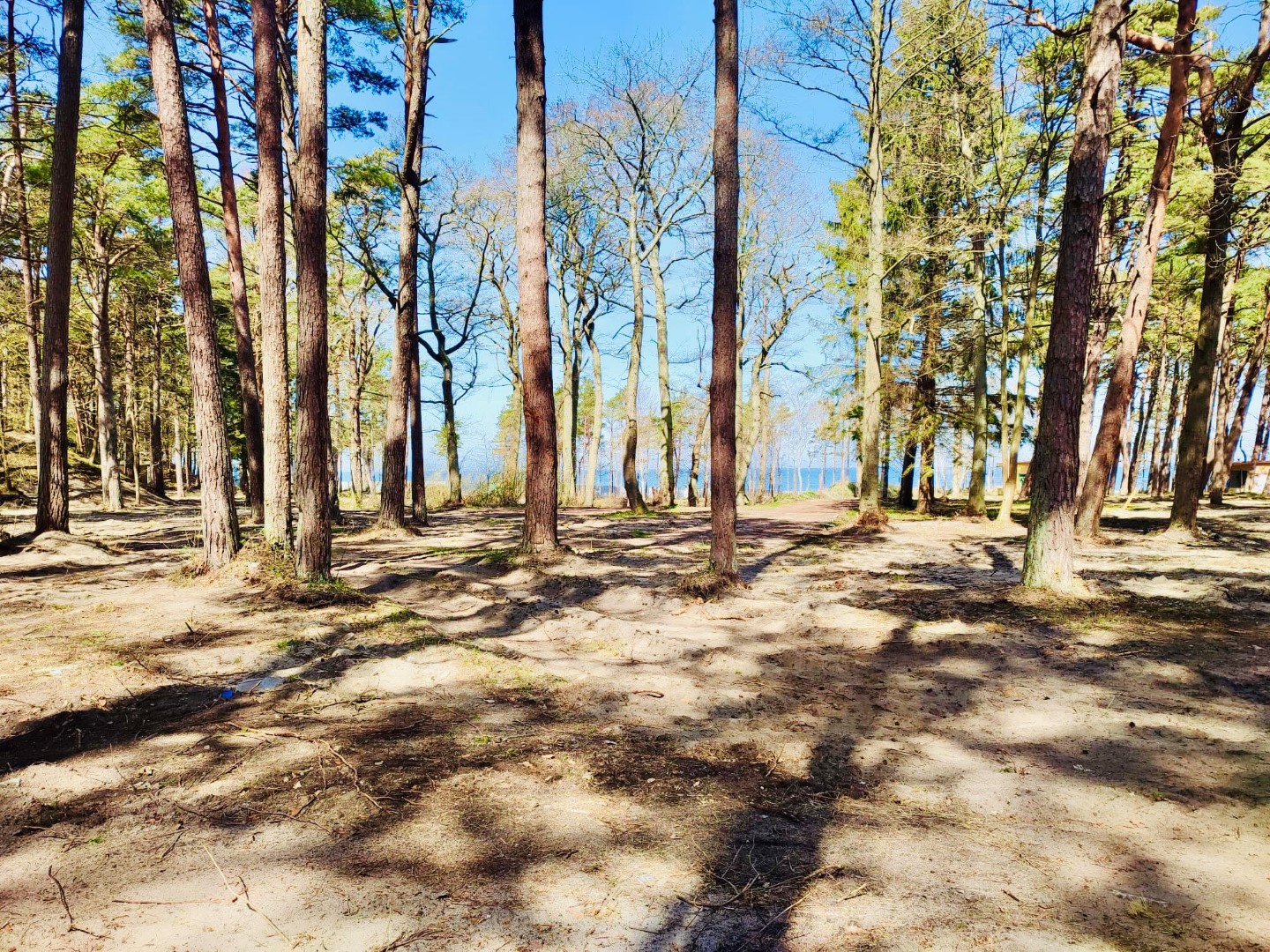 Ustronie Park - Photo 2
