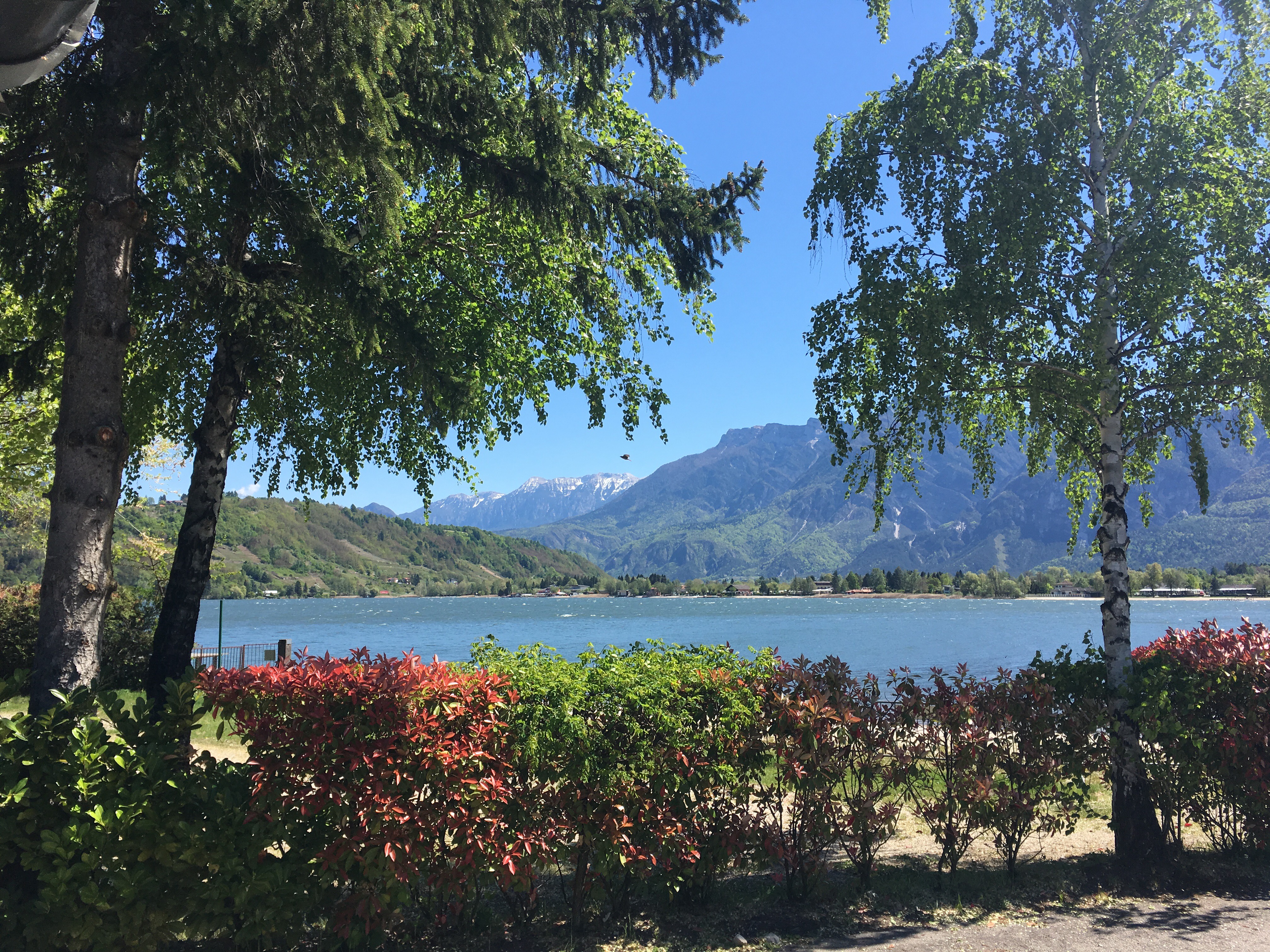 Camping Penisola Verde • Check camping in Italy at CampRest