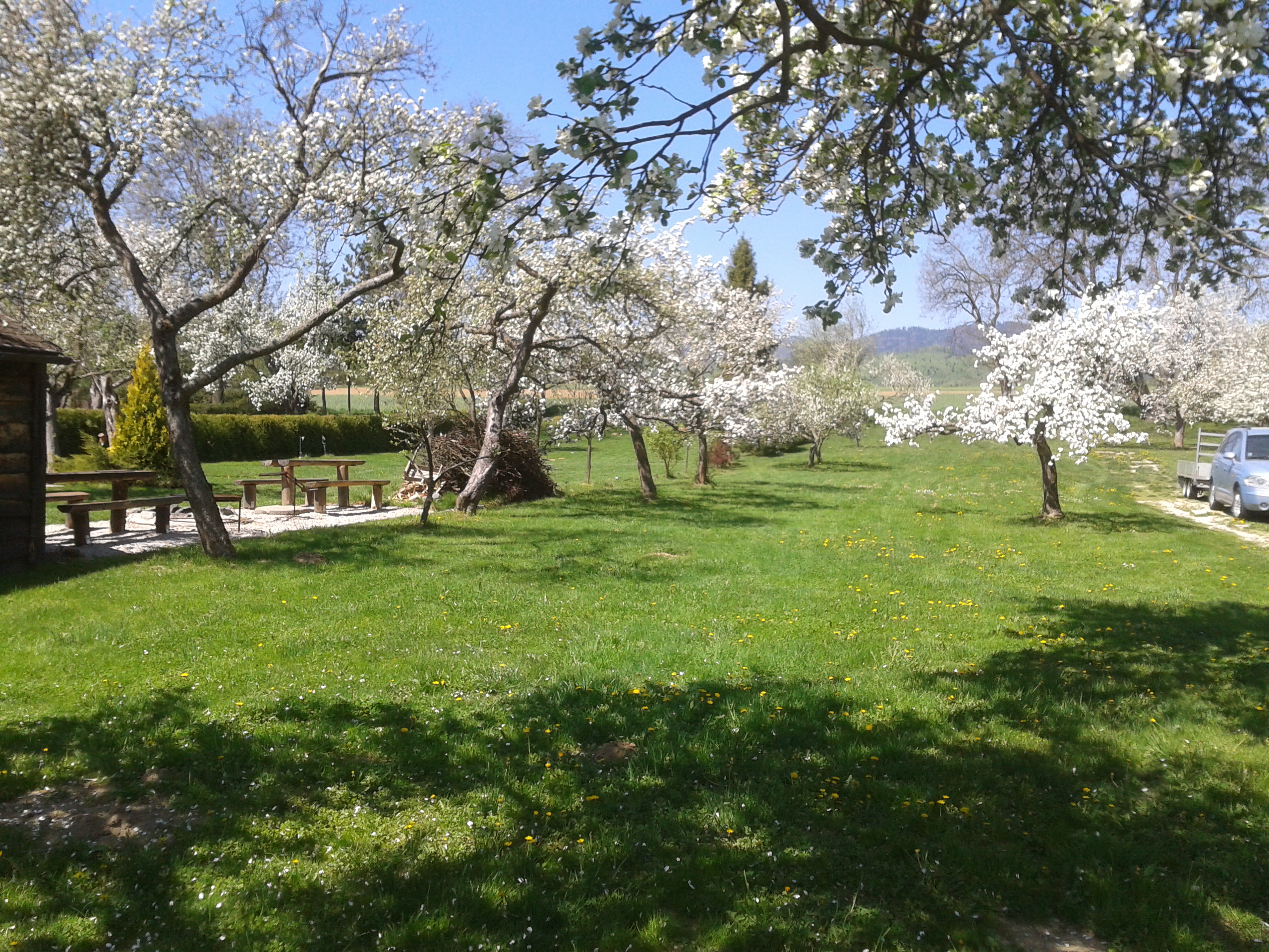 Penzion & Kemping SOKOL • Check camping in Slovakia at CampRest - Main photo