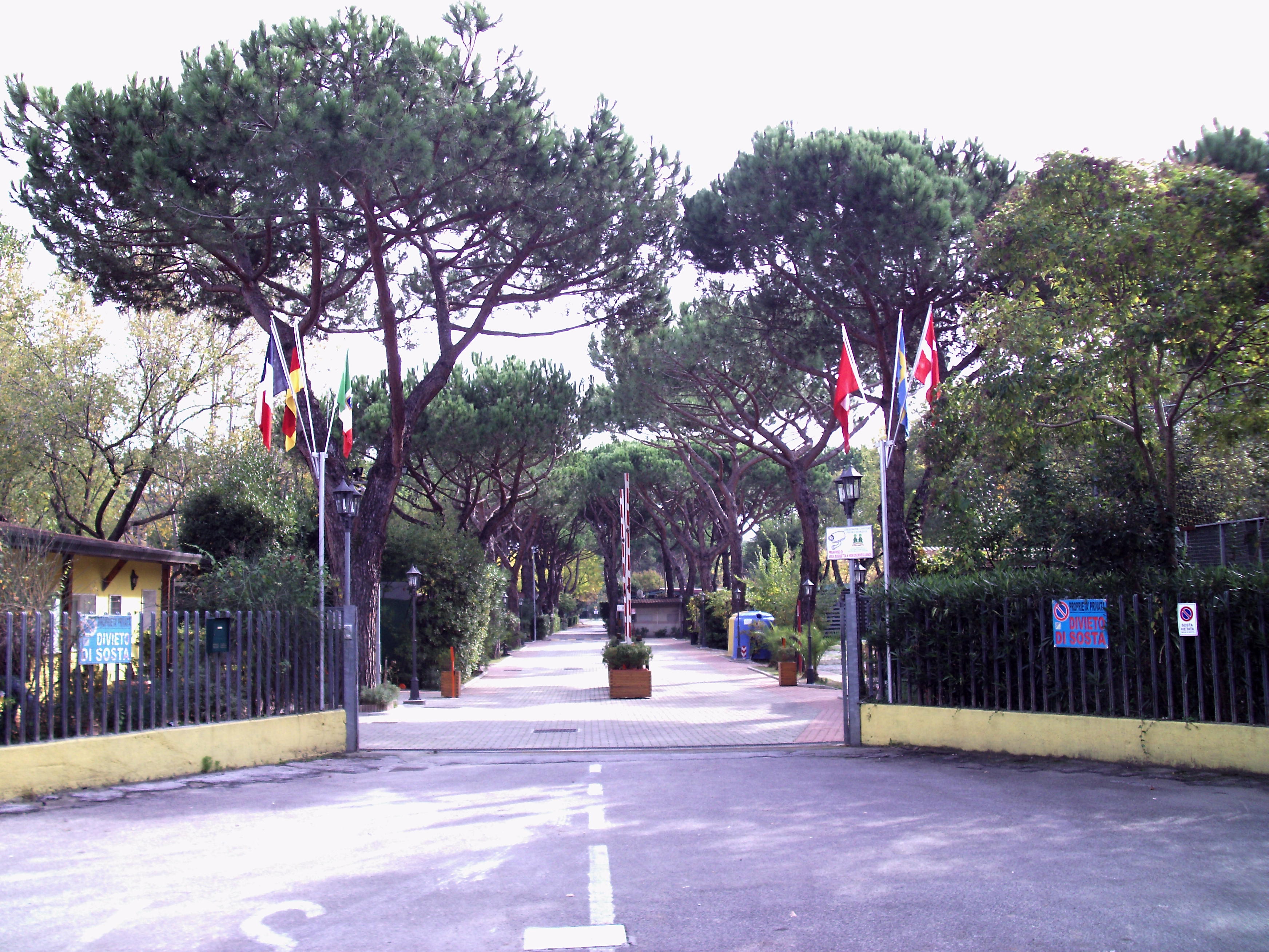 CAMPING DAL PINO • Check finding in Italy at CampRest