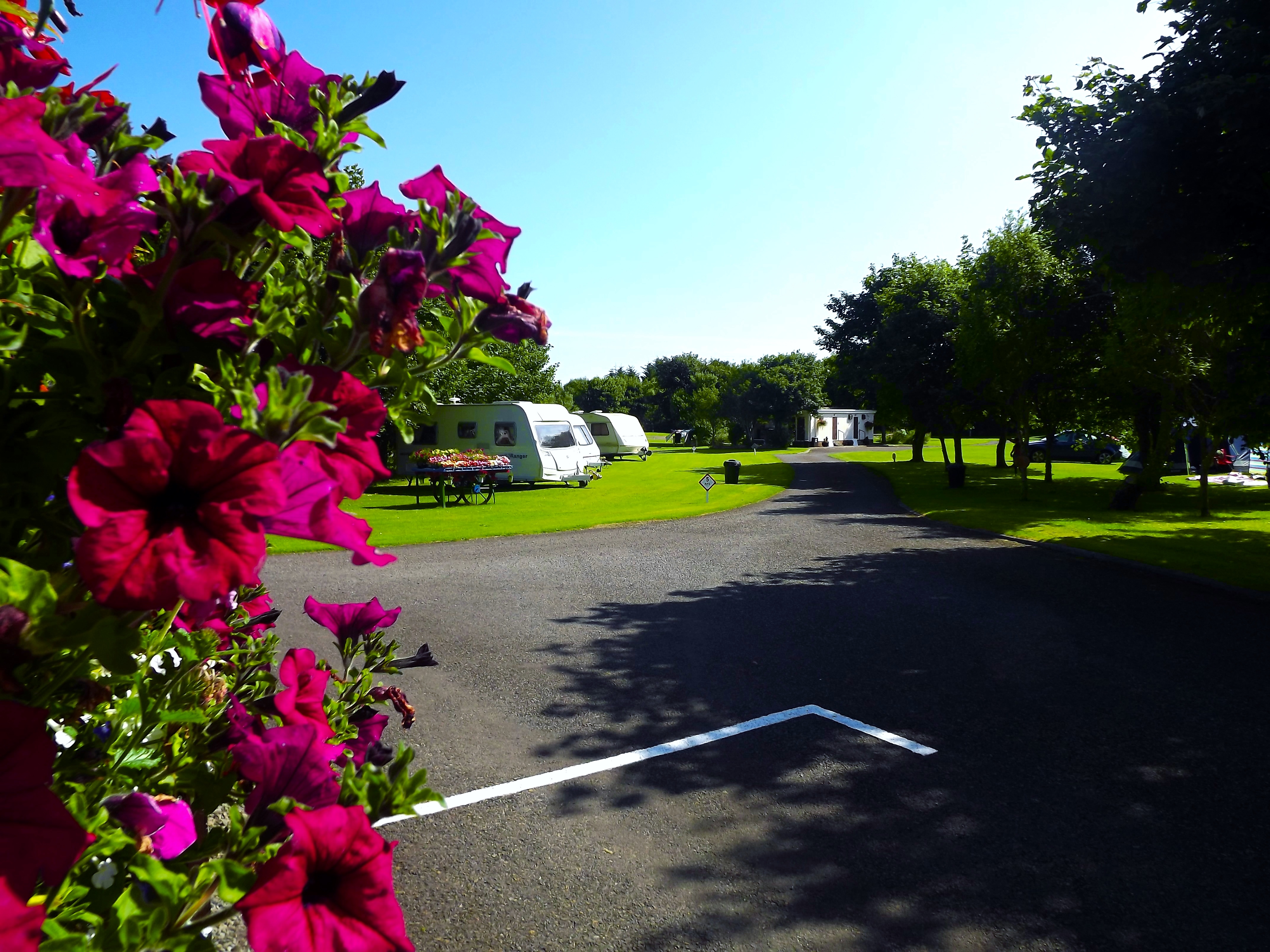 Wick Caravan and Camping Site • Check camping in Great Britain at CampRest